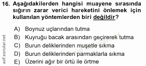 16. soru: Aşağıdakilerden hangisi muayene sırasında sığırın zarar verici hareketini önlemek için kullanılan yöntemlerden biri d…