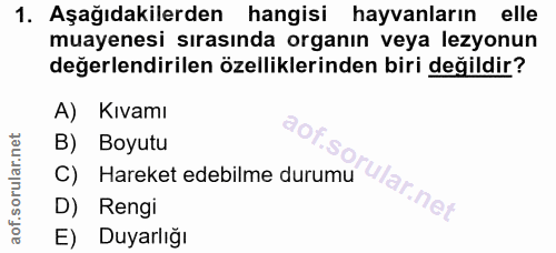 1. soru: Aşağıdakilerden hangisi hayvanların elle muayenesi sırasında organın veya lezyonun değerlendirilen özelliklerinden bi…