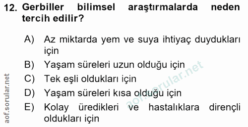 12. soru: Geriller bilimsel araştirmalarda neden tercih edilir? A) Az miktarda yem ve suya ihtiyaç duydukları için B) Yaşam sür…