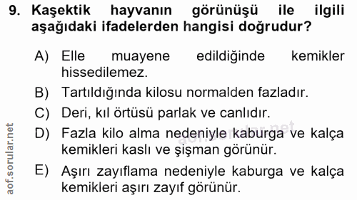 9. soru: Kaşektik hayvanın görünüşü ile ilgili aşağıdaki ifadelerden hangisi doğrudur? A) Elle muayene edildiğinde kemikler hi…