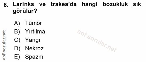 8. soru: Larinks ve trakea'da hangi bozukluk sık görülür? A) Tümör rular.net B) Yırtılma C) Yangı aof.s D) Nekroz E) Spazm