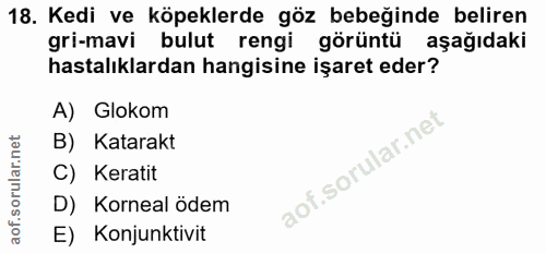 18. soru: Kedi ve köpeklerde göz bebeğinde beliren gri-mavi bulut rengi görüntü aşağıdaki hastalıklardan hangisine işaret eder?…