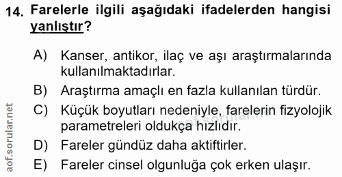 14. soru: Farelerle ilgili aşağıdaki ifadelerden hangisi yanlıştır? A) Kanser, antikor, ilaç ve aşı araştırmalarında kullanılma…