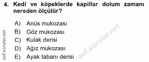4. soru: Kedi ve köpeklerde kapillar dolum zamanı nereden ölçülür? A) Anüs mukozası B) Göz mukozası i. C) Kulak derisi D) Ağız…