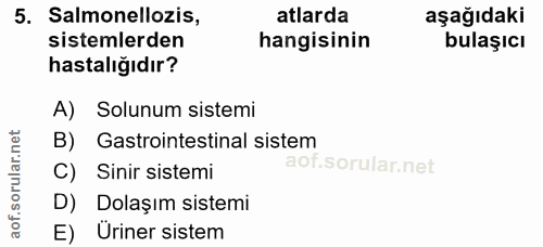 5. soru: Salmonellozis, atlarda aşağıdaki sistemlerden hangisinin bulaşıcı hastalığıdır? A) Solunum sistemi B) Gastrointestina…