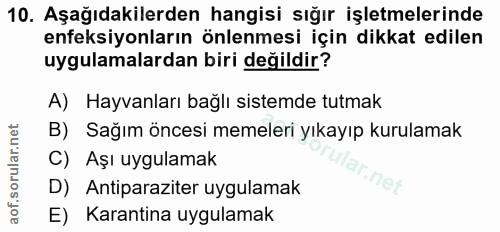 10. soru: Aşağıdakilerden hangisi sığır işletmelerinde enfeksiyonların önlenmesi için dikkat edilen uygulamalardan biri değildi…