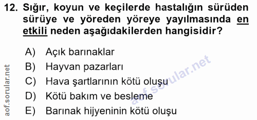 12. soru: Sığır, koyun ve keçilerde hastalığın sürüden sürüye ve yöreden yöreye yayılmasında en etkili neden aşağıdakilerden ha…