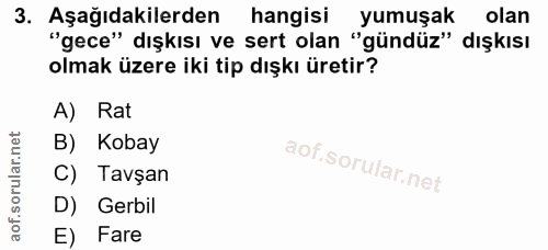 3. soru: Aşağıdakilerden hangisi yumuşak olan "gece" dışkısı ve sert olan "gündüz" dışkısı olmak üzere iki tip dışkı üretir? A…