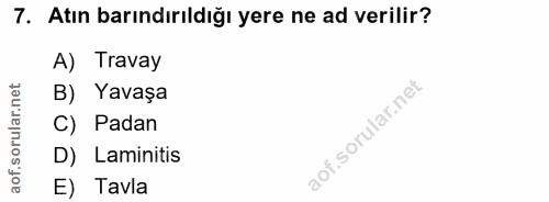 7. soru: Atın barındırıldığı yere ne ad verilir? A) Travay B) Yavaşa C) Padan D) Laminitis E) Tavla