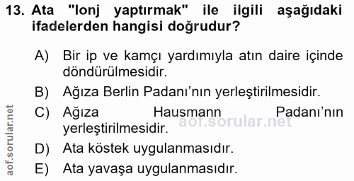 13. soru: Ata "lonj yaptırmak" ile ilgili aşağıdaki ifadelerden hangisi doğrudur? A) Bir ip ve kamçı yardımıyla atın daire için…