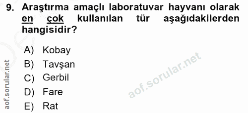 9. soru: Araştırma amaçlı laboratuvar hayvanı olarak en çok kullanılan tür aşağıdakilerden hangisidir? A) Kobay B) Tavşan C) G…