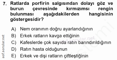 7. soru: Ratlarda porfirin salgısından dolayı göz ve burun çevresinde kırmızımsı rengin bulunması aşağıdakilerden hangisinin g…