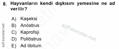 8. soru: Hayvanların kendi dışkısını yemesine ne ad verilir? A) Kaşeksi B) Anöstrus C) Kaprofaji D) Poliöstrus E) Ad libitum