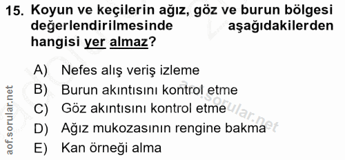 15. soru: Koyun ve keçilerin ağız, göz ve burun bölgesi değerlendirilmesinde aşağıdakilerden hangisi yer almaz? A) Nefes alış v…