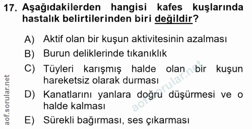 17. soru: Aşağıdakilerden hangisi kafes kuşlarında hastalık belirtilerinden biri değildir? A) Aktif olan bir kuşun aktivitesini…
