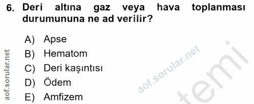 6. soru: Deri altına gaz veya hava toplanması durumununa ne ad verilir? A) Apse B) Hematom C) Deri kaşıntısı D) Ödem E) Amfizem