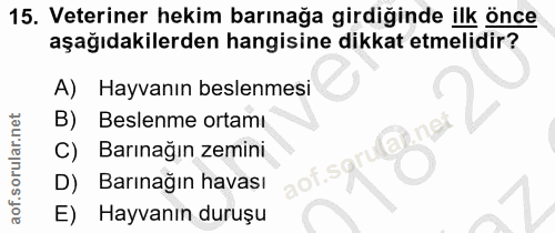 15. soru: Veteriner hekim barınağa girdiğinde ilk önce aşağıdakilerden hangisine dikkat etmelidir? A) Hayvanın beslenmesi B) Be…