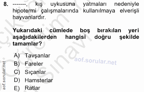 8. soru: kış uykusuna yatmaları nedeniyle hipotermi çalışmalarında kullanılmaya elverişli hayvanlardır. Yukarıdaki cümlede boş…