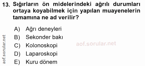 13. soru: Sığırların ön midelerindeki ağrılı durumları ortaya koyabilmek için yapılan muayenelerin tamamına ne ad verilir? A) A…