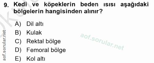 9. soru: Kedi ve köpeklerin beden ısısı aşağıdaki bölgelerin hangisinden alınır? A) Dil altı B) Kulak C) Rektal bölge D) Femor…