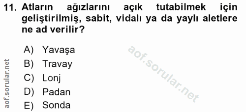 11. soru: Atların ağızlarını açık tutabilmek için geliştirilmiş, sabit, vidalı ya da yaylı aletlere ne ad verilir? A) Yavaşa B)…