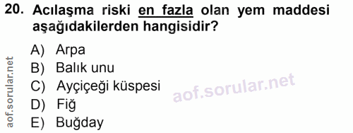 20. soru: Acılaşma riski en fazla olan yem maddesi aşağıdakilerden hangisidir? A) Arpa B) Balık unu C) Ayçiçeğı küspesi D) Fiğ…