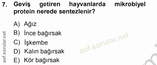 7. soru: Geviş getiren hayvanlarda mikrobiyel protein nerede sentezlenir? A) Ağız B) Ince bağırsak C) İşkembe D) Kalın bağırsa…