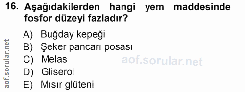 16. soru: Aşağıdakilerden hangi yem maddesinde fosfor düzeyi fazladır? A) Buğday kepeği B) Şeker pancarı posası C) Melas D) Gli…