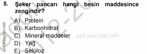 5. soru: Şeker pancarı hangi besin maddesince zengindir? A) Protein B) Karbonhidrat C) Mineral maddeler D) Yağ E) Selüloz