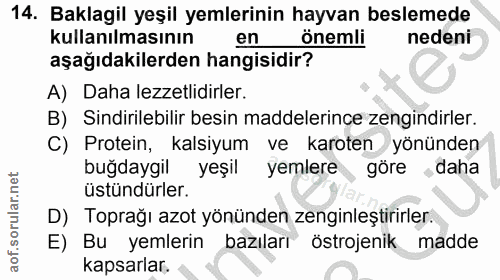 14. soru: Baklagil yeşil yemlerinin hayvan beslemede kullanılmasının en önemli nedeni aşağıdakilerden hangisidir? A) Daha lezze…