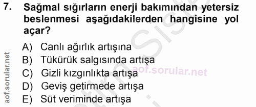 7. soru: Sağmal sığırların enerji bakımından yetersiz beslenmesi aşağıdakilerden hangisine yol açar? A) Canlı ağırlık artışına…