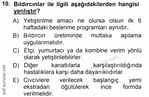 10. soru: Bıldırcınlar ile ilgili aşağıdakilerden hangisi yanlıştır? A) Yetiştirilme amacı ne olursa olsun ilk 6 haftadaki besl…