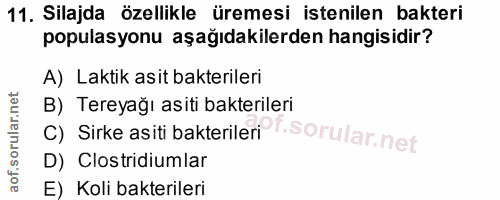 11. soru: Silajda özellikle üremesi istenilen bakteri populasyonu aşağıdakilerden hangisidir? A) Laktik asit bakterileri B) Ter…