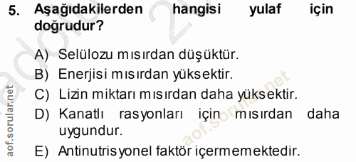 5. soru: Aşağıdakilerden hangisi yulaf için dogrudur? A) Selülozu mısırdan düşüktür. B) Enerjisi mısırdan yüksektir. C) Lizin…
