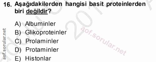 16. soru: Aşağıdakilerden hangisi basit proteinlerden biri değildir? A) Albuminler B) Glikoproteinler C) Prolaminler D) Protami…
