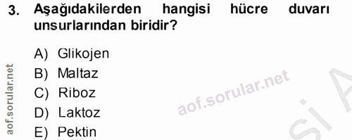 3. soru: Aşağıdakilerden hangisi hücre duvarı unsurlarından biridir? A) Glikojen B) Maltaz C) Riboz D) Laktoz E) Pektin