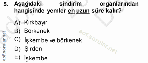 5. soru: Aşağıdaki sindirim organlarından hangisinde yemler en uzun süre kalır? A) Kırkbayır B) Börkenek C) İşkembe ve börkene…