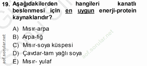 19. soru: Aşağıdakilerden hangileri kanatlı beslenmesi için en uygun enerji-protein kaynaklarıdır? A) Mısir-arpa B) Arpa-fig of…