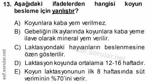 13. soru: Aşağıdaki ifadelerden hangisi koyun besleme için yanlıştır? A) Koyunlara kaba yem verilmez. B) Gebeliğin ilk aylarınd…