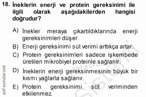 18. soru: İneklerin enerji ve protein gereksinimi ile ilgili olarak aşağıdakilerden hangisi doğrudur? A) İnekler meraya çıkartı…