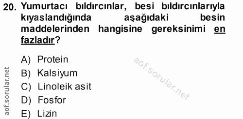 20. soru: Yumurtacı bıldırcınlar, besi bıldırcınlarıyla kıyaslandığında aşağıdaki besin maddelerinden hangisine gereksinimi en…