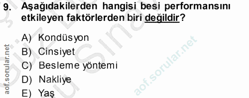 9. soru: Aşağıdakilerden hangisi besi performansını etkileyen faktörlerden biri değildir? A) Kondüsyon B) Cinsiyet lof.sorular…