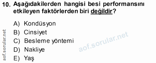 10. soru: Aşağıdakilerden hangisi besi performansını etkileyen faktörlerden biri değildir? A) Kondüsyon B) Cinsiyet C) Besleme…