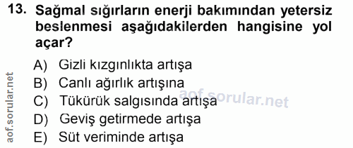 13. soru: Sağmal sığırların enerji bakımından yetersiz beslenmesi aşağıdakilerden hangisine yol açar? A) Gizli kızgınlıkta artı…