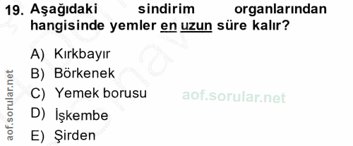 19. soru: Aşağıdaki sindirim organlarından hangisinde yemler en uzun süre kalır? A) Kırkbayır B) Börkenek C) Yemek borusu D) İş…