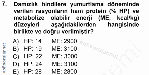 7. soru: Damızlık hindilere yumurtlama döneminde verilen rasyonların ham protein (% HP) ve metabolize olabilir enerji (ME, kca…