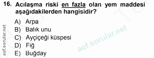 16. soru: Acılaşma riski en fazla olan yem maddesi aşağıdakilerden hangisidir? A) Arpa B) Balık unu C) Ayçiçeğı küspesi D) Fiğ…