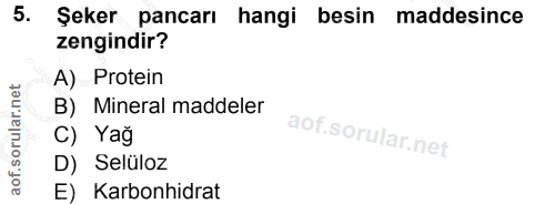 5. soru: Şeker pancarı hangi besin maddesince zengindir? A) Protein B) Mineral maddeler C) Yağ D) Selüloz E) Karbonhidrat