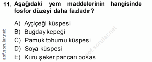 11. soru: Aşağıdaki yem maddelerinin hangisinde fosfor düzeyi daha fazladır? A) Ayçiçeği küspesi B) Buğday kepeği C) Pamuk tohu…