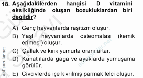18. soru: Aşağıdakilerden hangisi D vitamini eksikliğinde oluşan bozukluklardan biri değildir? A) Genç hayvanlarda raşitizm olu…